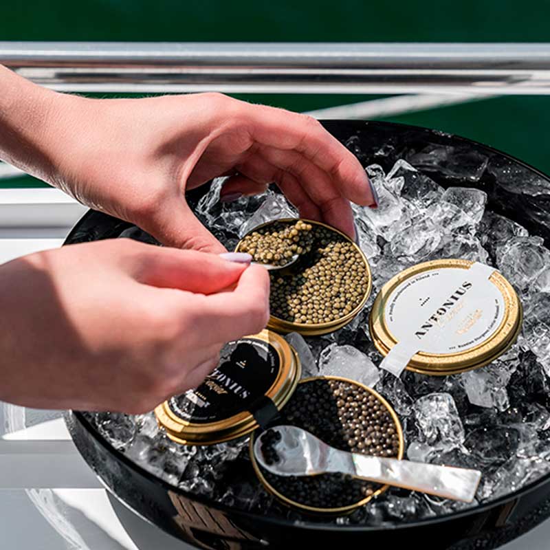 洋楽 S.T. Caviar Prunier Caviar Osciètre Classique (Gift) オシェトラ クラシック