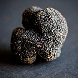 
                  
                    Summer Truffle (Tuber Aestivum). 1oz/28grs aprox.
                  
                